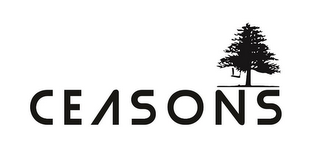 CEASONS logo