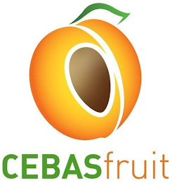 CEBAS FRUIT logo