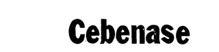 CEBENASE logo