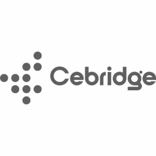 CEBRIDGE logo