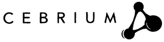 CEBRIUM logo