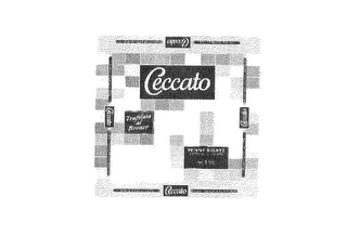 CECCATO MULINO & PASTIFICIO logo