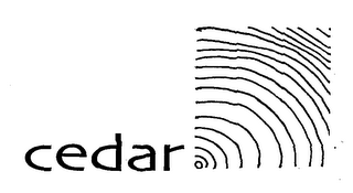 CEDAR logo