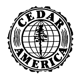 CEDAR AMERICA logo