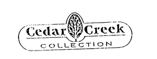 CEDAR CREEK COLLECTION logo