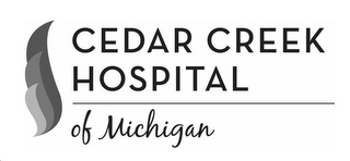CEDAR CREEK HOSPITAL OF MICHIGAN logo
