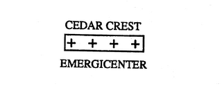 CEDAR CREST EMERGICENTER logo