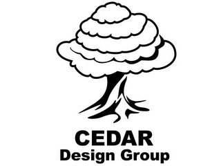CEDAR DESIGN GROUP logo