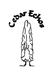CEDAR ECHOS logo