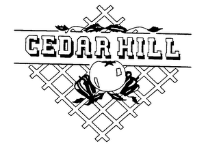 CEDAR HILL logo