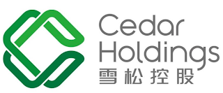 CEDAR HOLDINGS logo