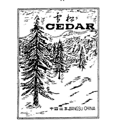CEDAR JIANGSU CHINA logo
