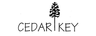 CEDAR KEY logo