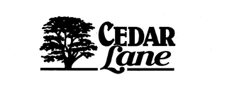 CEDAR LANE logo