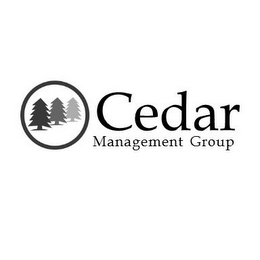CEDAR MANAGEMENT GROUP logo