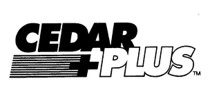 CEDAR + PLUS logo