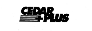CEDAR PLUS logo