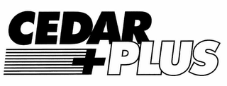 CEDAR PLUS + logo