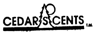 CEDAR SCENTS logo