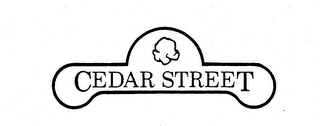CEDAR STREET logo