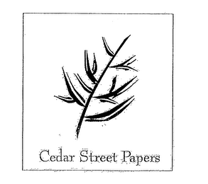 CEDAR STREET PAPERS logo