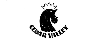 CEDAR VALLEY logo