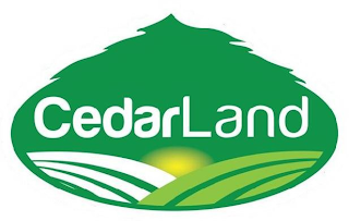CEDARLAND logo