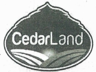 CEDARLAND logo