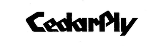 CEDARPLY logo