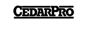 CEDARPRO