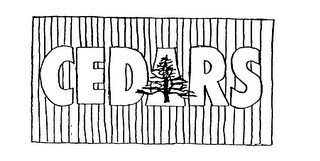 CEDARS logo