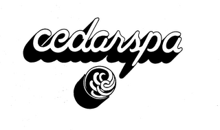 CEDARSPA logo