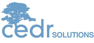 CEDR SOLUTIONS logo