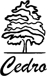 CEDRO logo