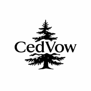 CEDVOW logo