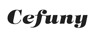 CEFUNY logo