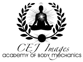 CEJ IMAGES ACADEMY OF BODY MECHANICS logo