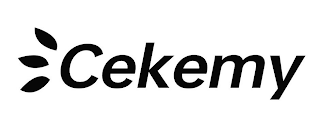 CEKEMY logo