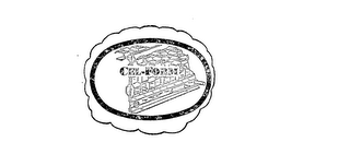 CEL-FORM logo