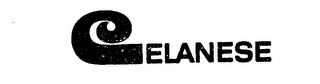 CELANESE logo