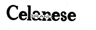 CELANESE BRAND logo