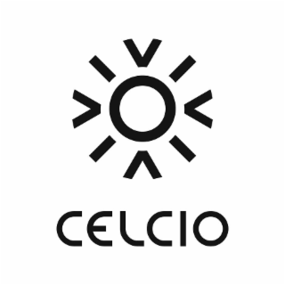 CELCIO logo