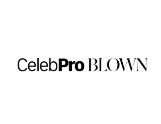CELEBPRO BLOWN logo