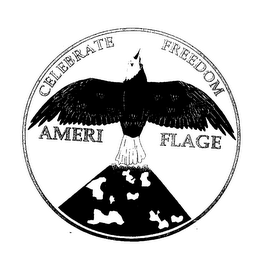 CELEBRATE FREEDOM AMERI FLAGE logo