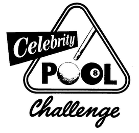 CELEBRITY POOL CHALLENGE 8 logo