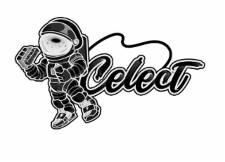 CELECT logo