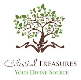CELESTIAL TREASURES YOUR DIVINE SOURCE