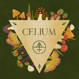CELIUM logo