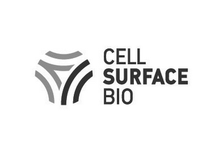 CELL SURFACE BIO logo