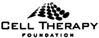 CELL THERAPY FOUNDATION logo